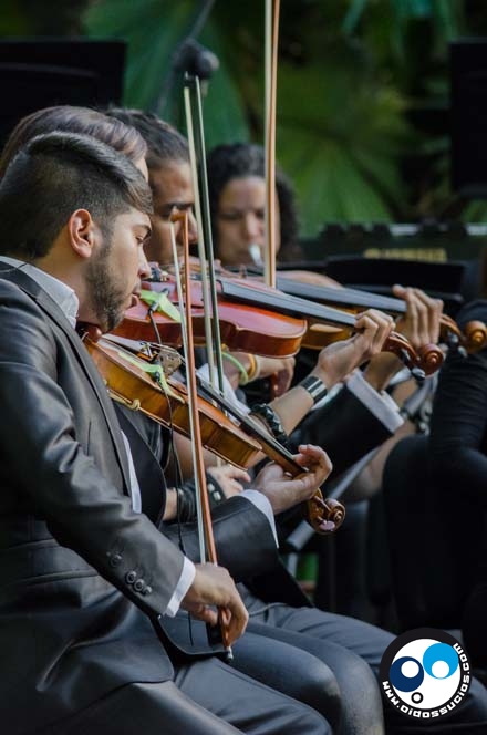 Corp Banca se llenó de músicos Locos Por La Paz (Fotos y reseña)